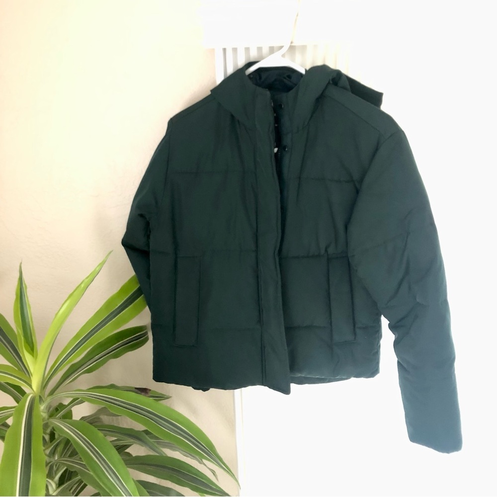 Everlane renew puffer
